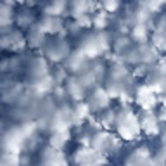 Meet your Posher, Chelsea lau - Picture 1 of 1